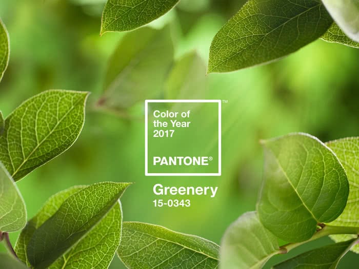 years 2017 pantone colour greenery