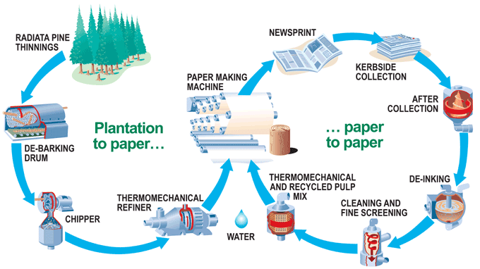 Paper cycle production