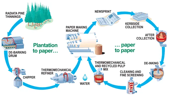 Paper cycle production