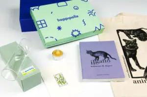 Case history: scatole personalizzate hoppípolla