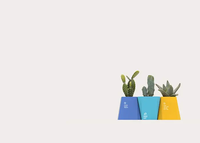 colecti-cacti-packaging-design