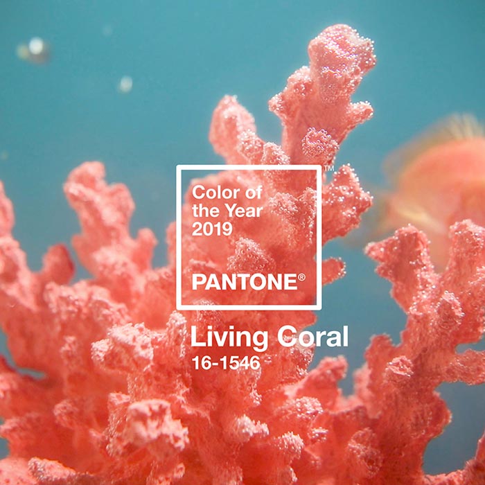 living-coral-pantone-color-of-the-year