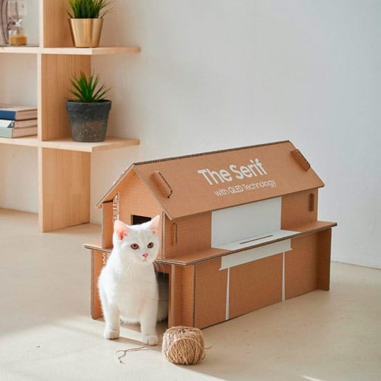 Cat kennel made with a cardboard box