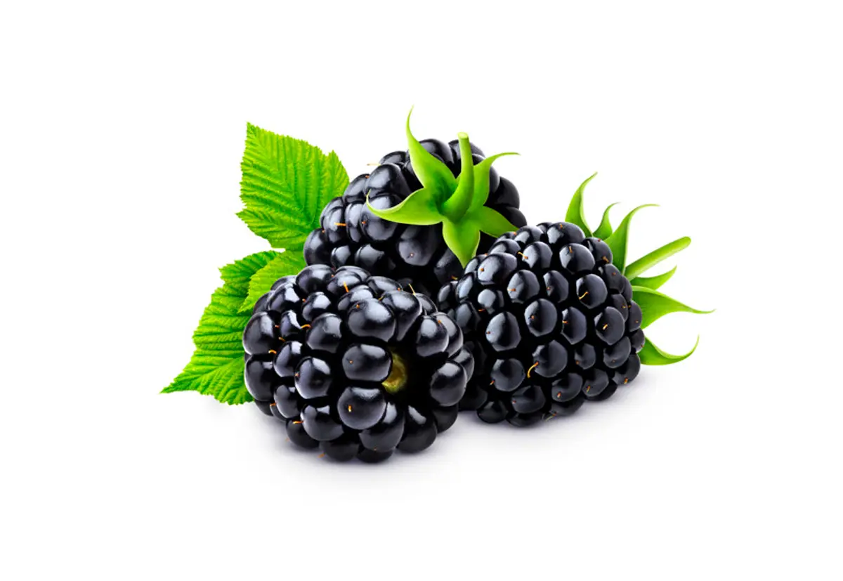 black berries il packaging perfetto