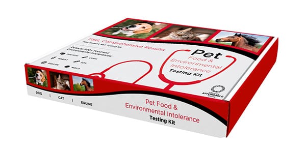 Rollover hinged lid box for intolerance test kit