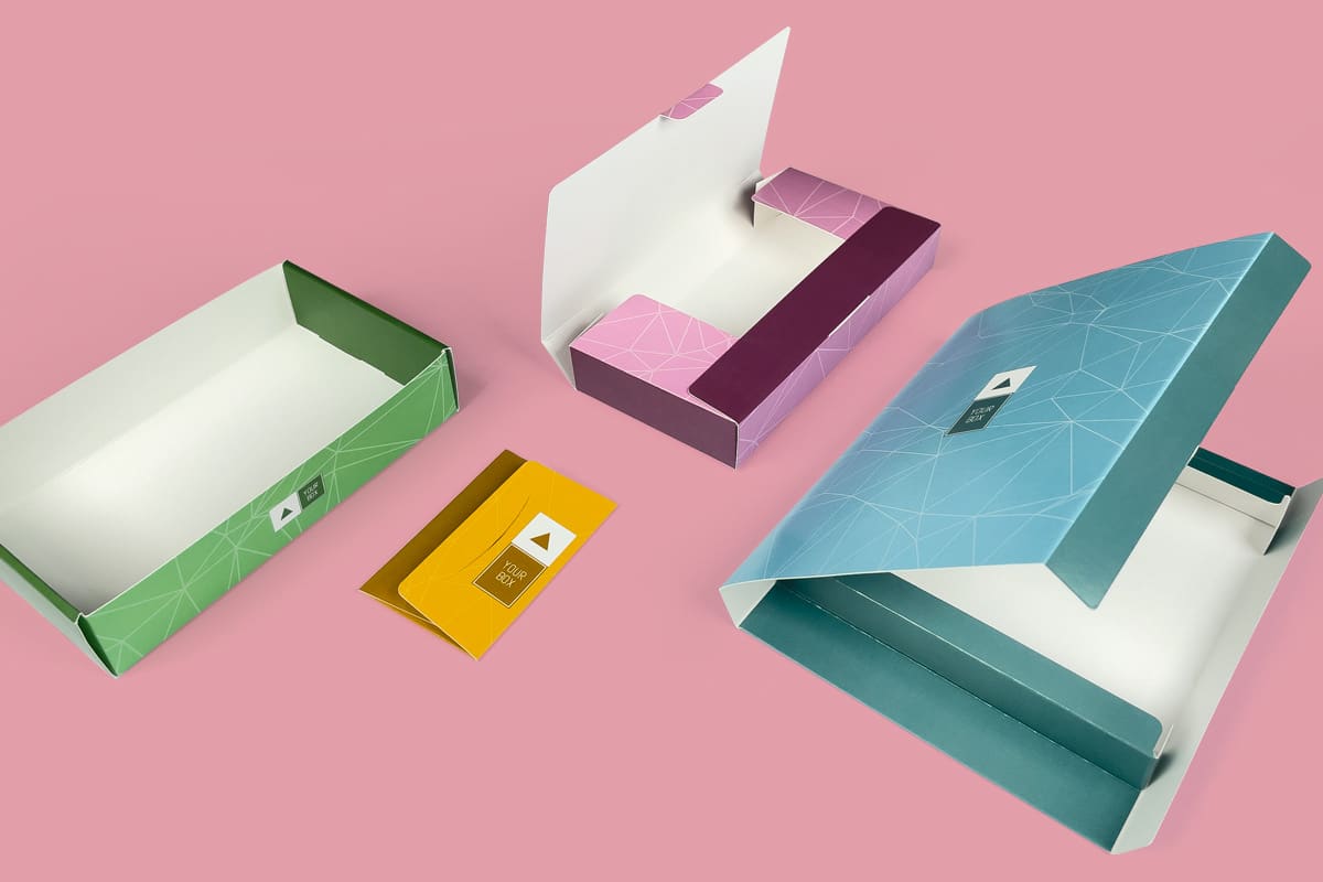 packly brand new box model 2021