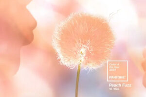 Pantone 2024: Peach Fuzz est la nuance de l'année