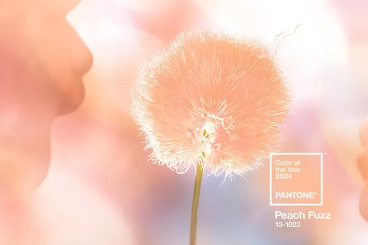 pantone color of the year peach fuzz