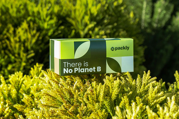 Caja sostenible de Packly con diferentes tonos de verde con "No hay planeta B" escrito sobre un fondo de plantas verdes