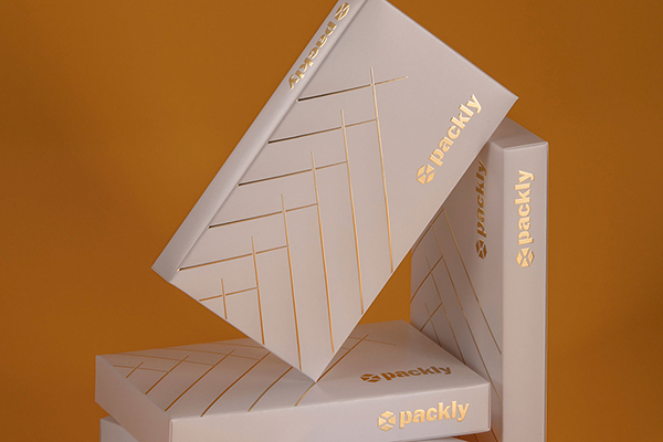 Geschenkboxen für Kunden VIP- und Treueprogramme