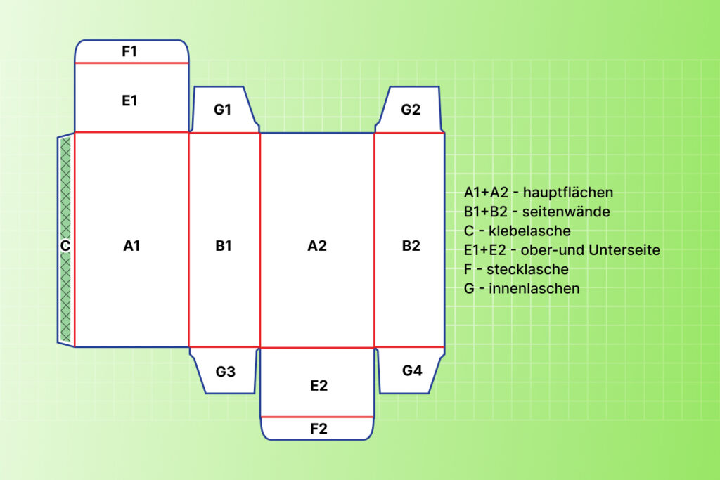 Körpersegmente der Schachtel